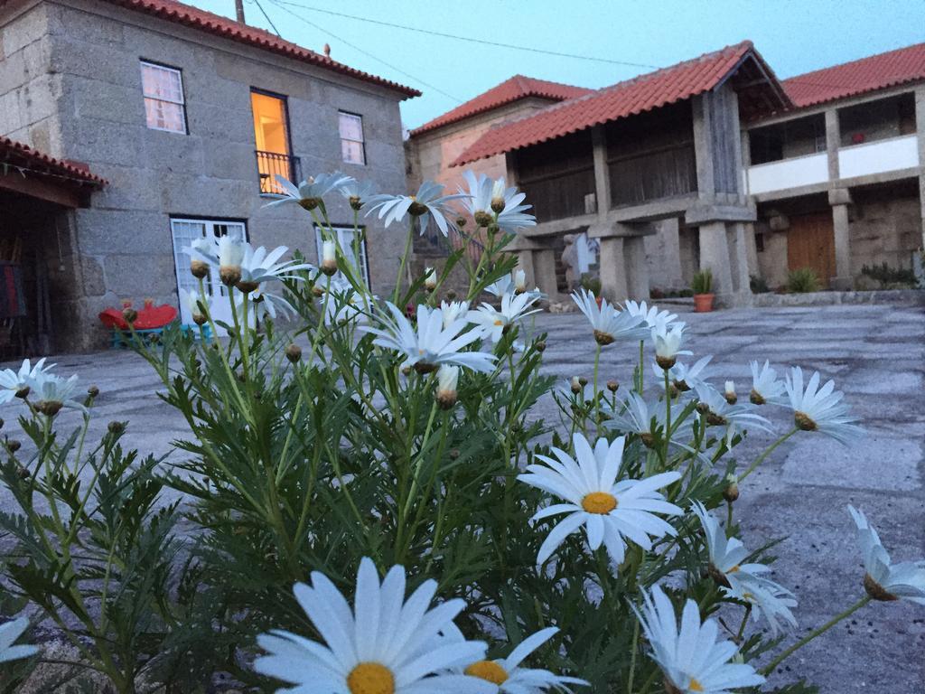 Casa Da Ventozella Guest House Пенафиел Екстериор снимка